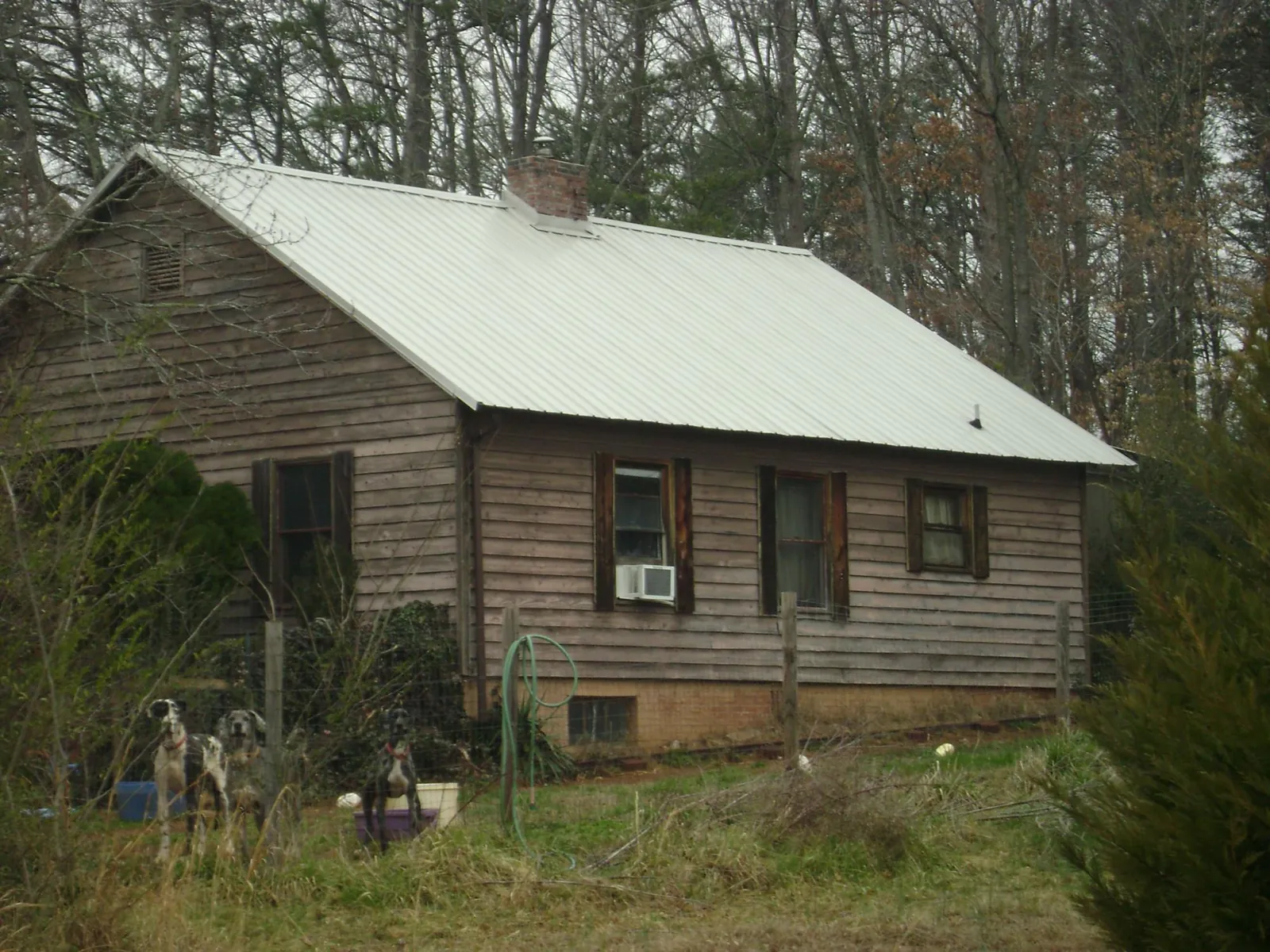 White metal roof on an old wood sided farmhouse, from a Asphalt Shingle Roof Repair job in Clarkson